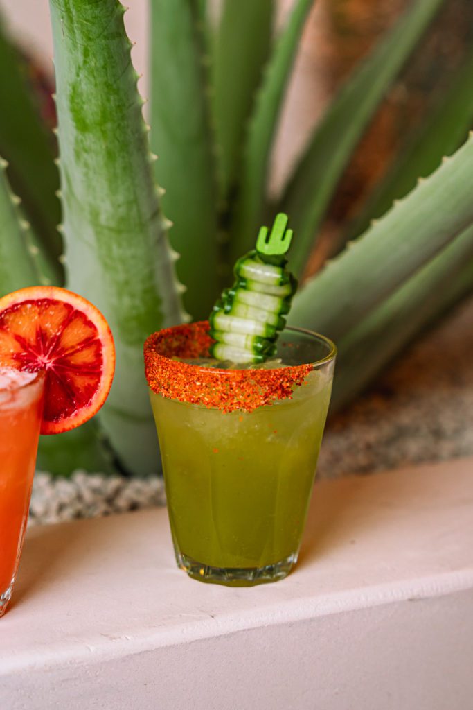 Tequila Cocktail Photoshoot