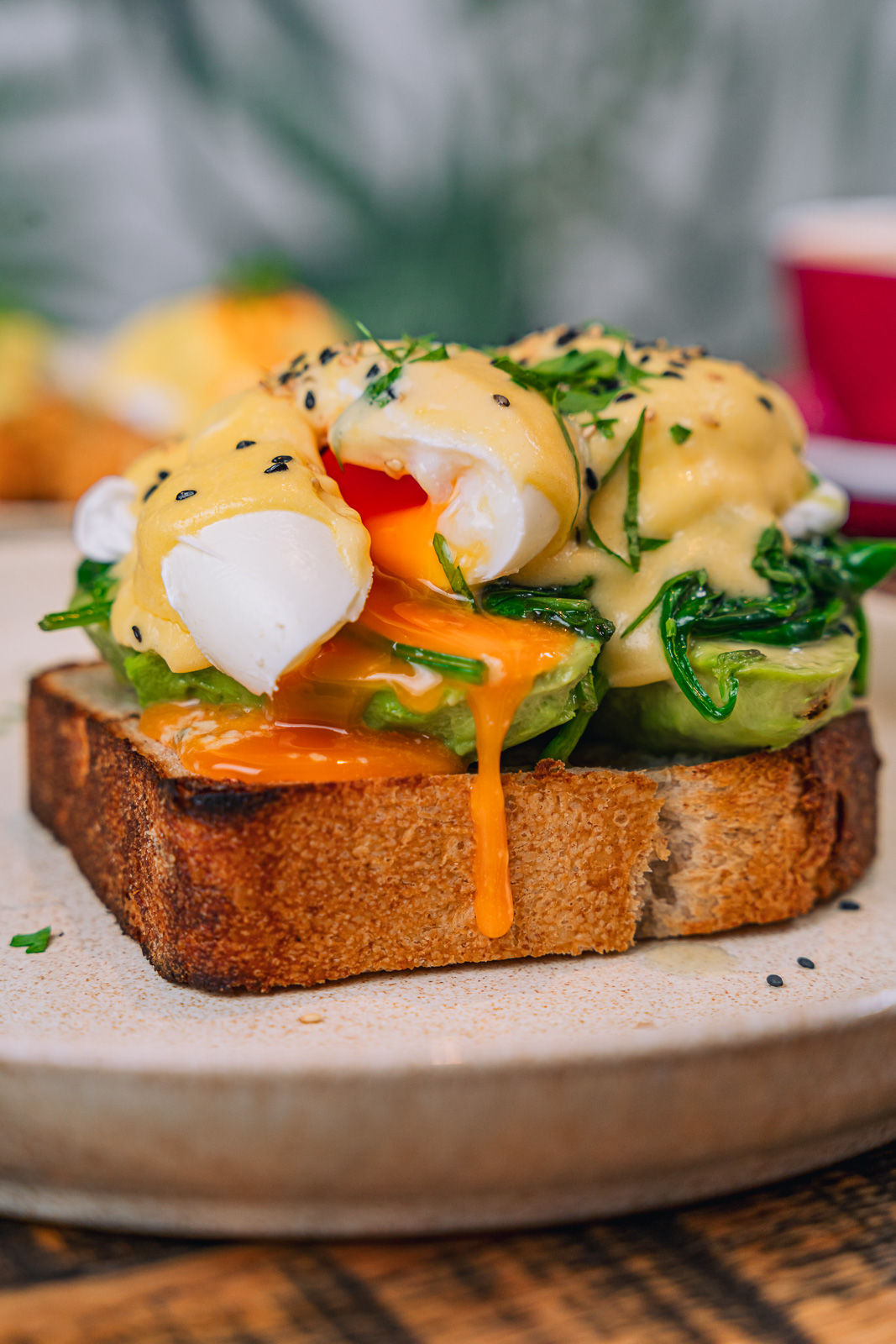 Best Restaurant Photographer